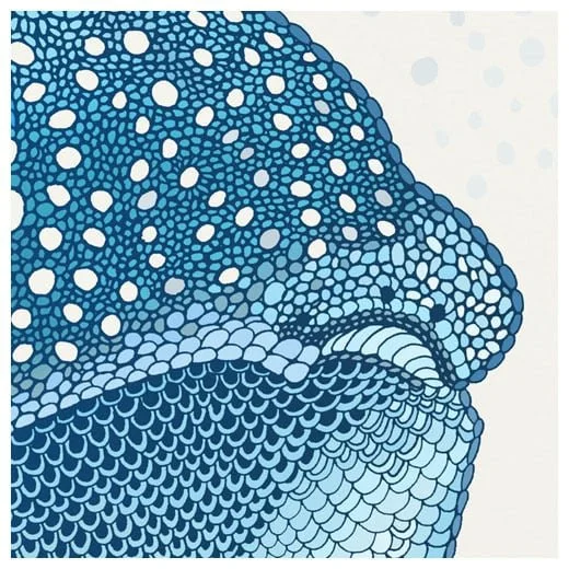 whale_shark_cream_closer.jpg