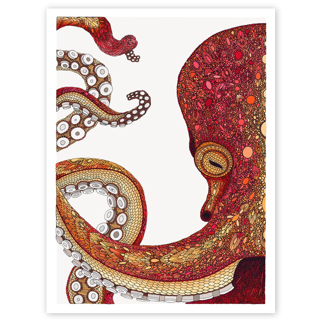 octopus+01.jpg