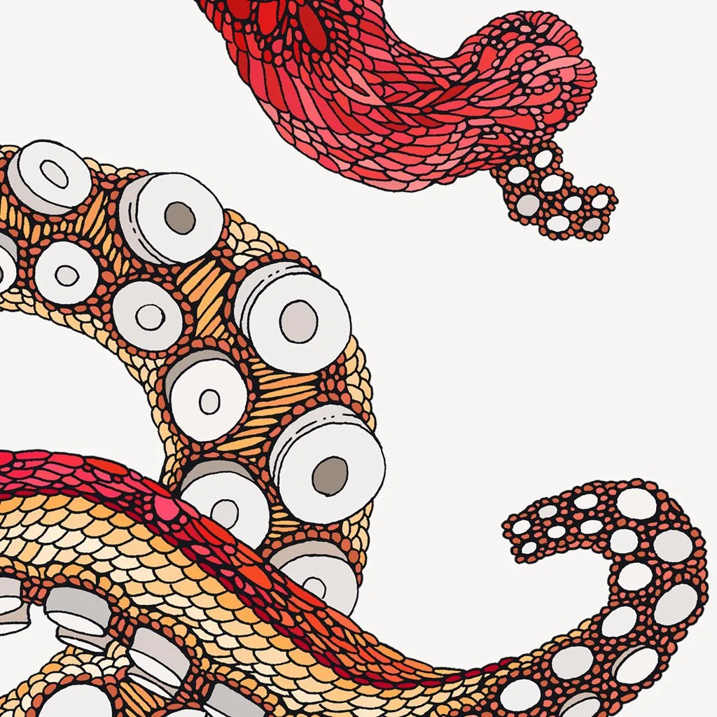 octopus+03.jpg