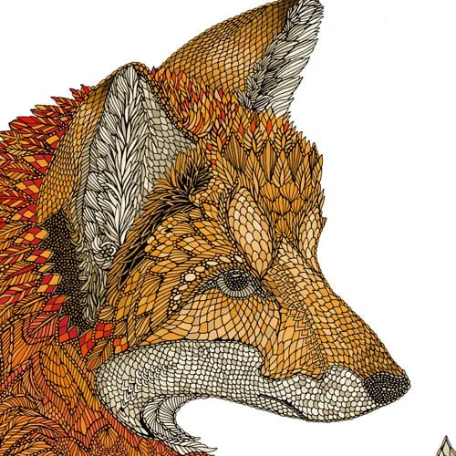 FOX_40x402.jpg