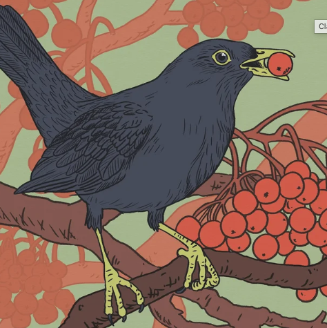 Eureka! Nature Diversity