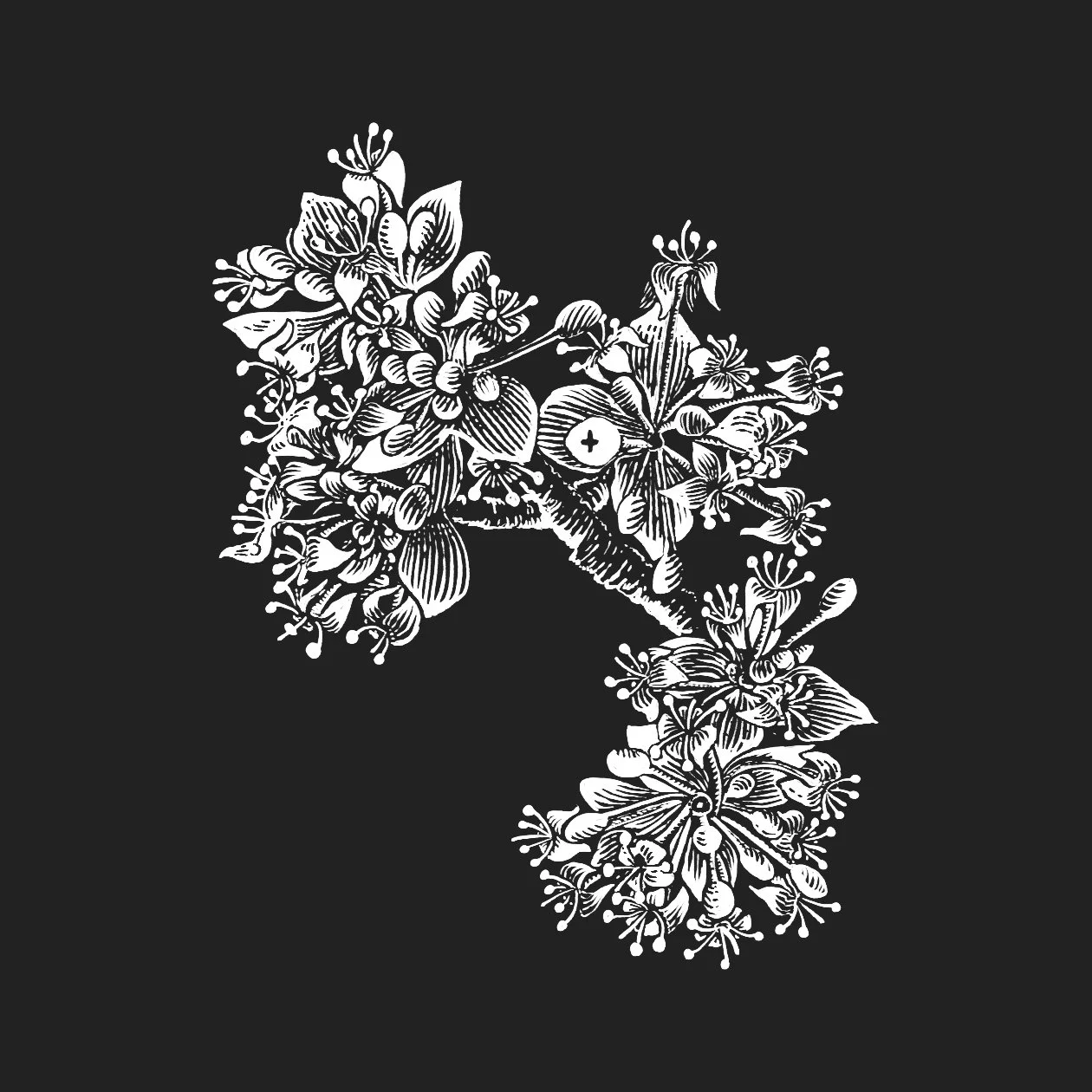 Belsay Way-finder illustration