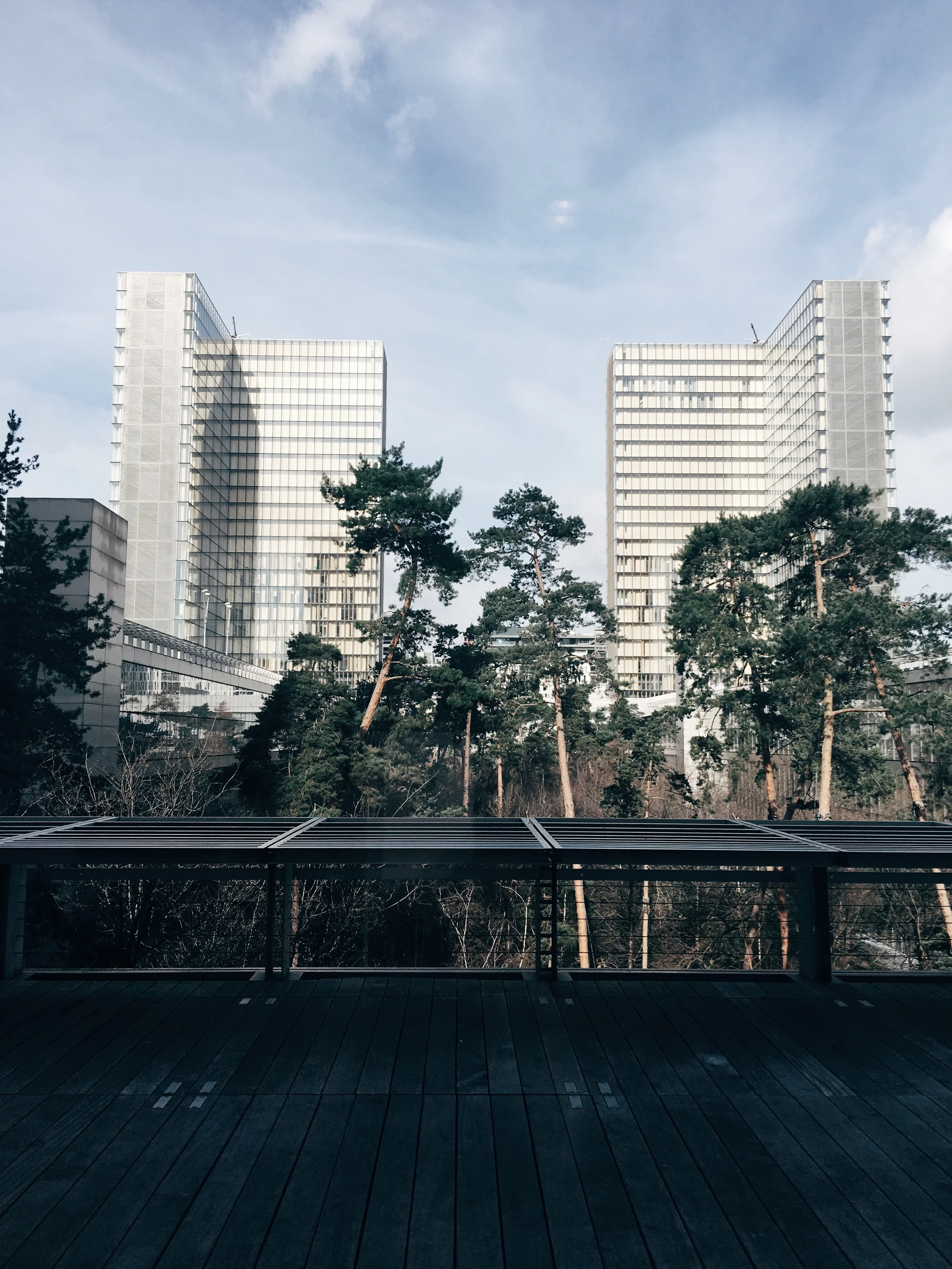 The futuristic architecture and pinetree garden at The National Library