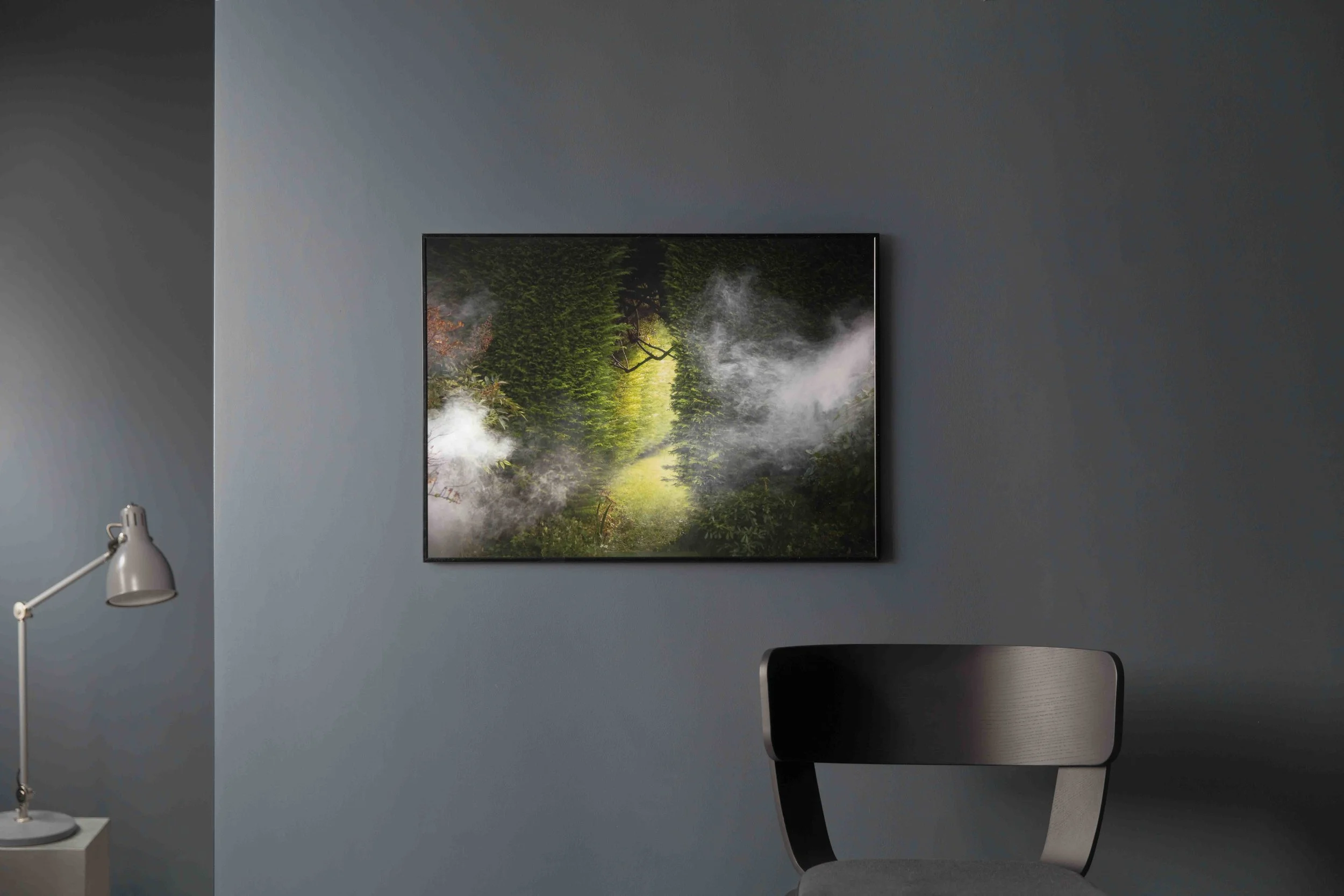The print you can win of our Norfolk garden view