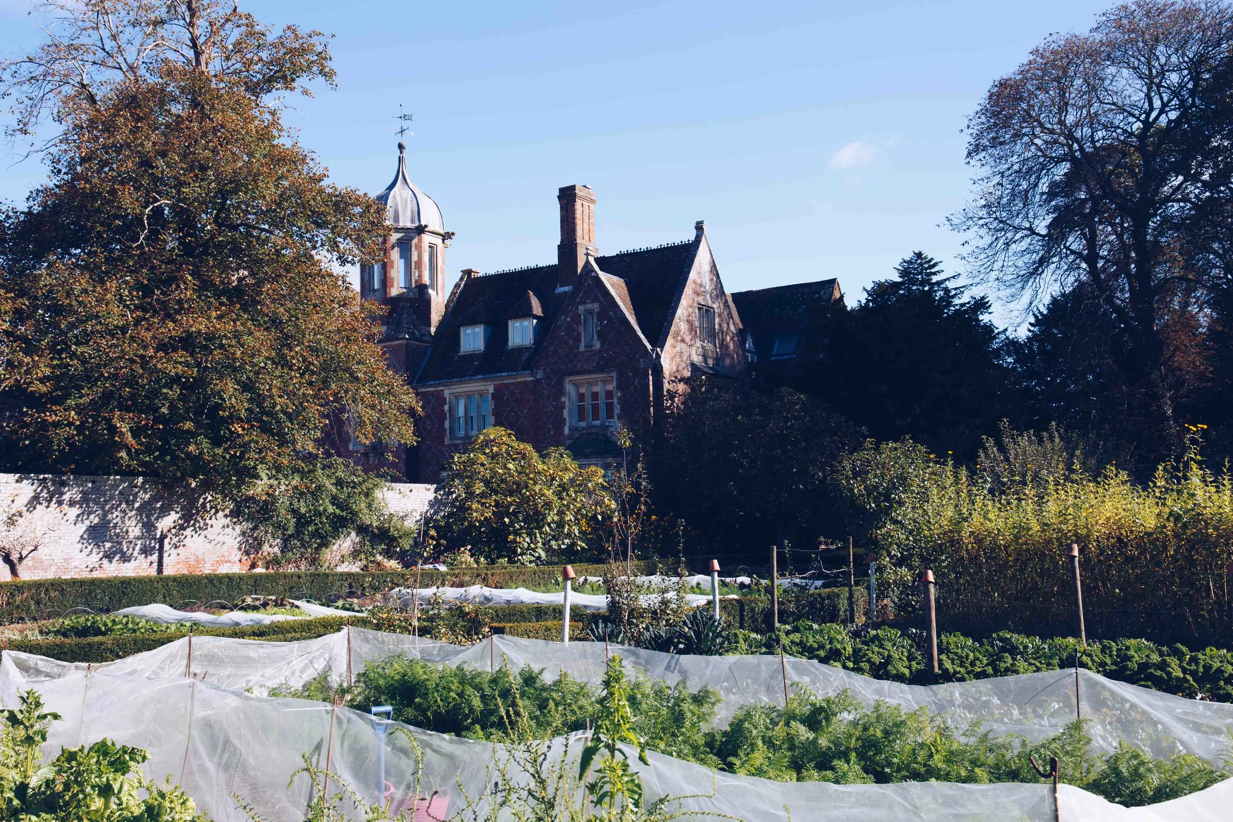 The Kitchen Gardens