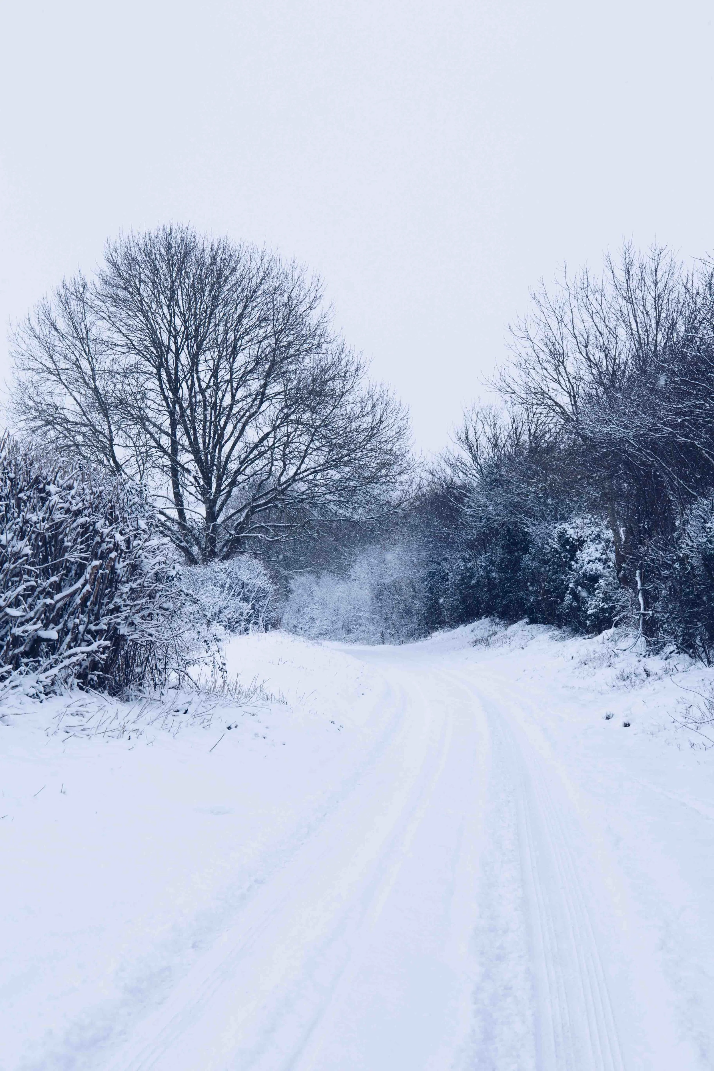 On the back roads of our little village