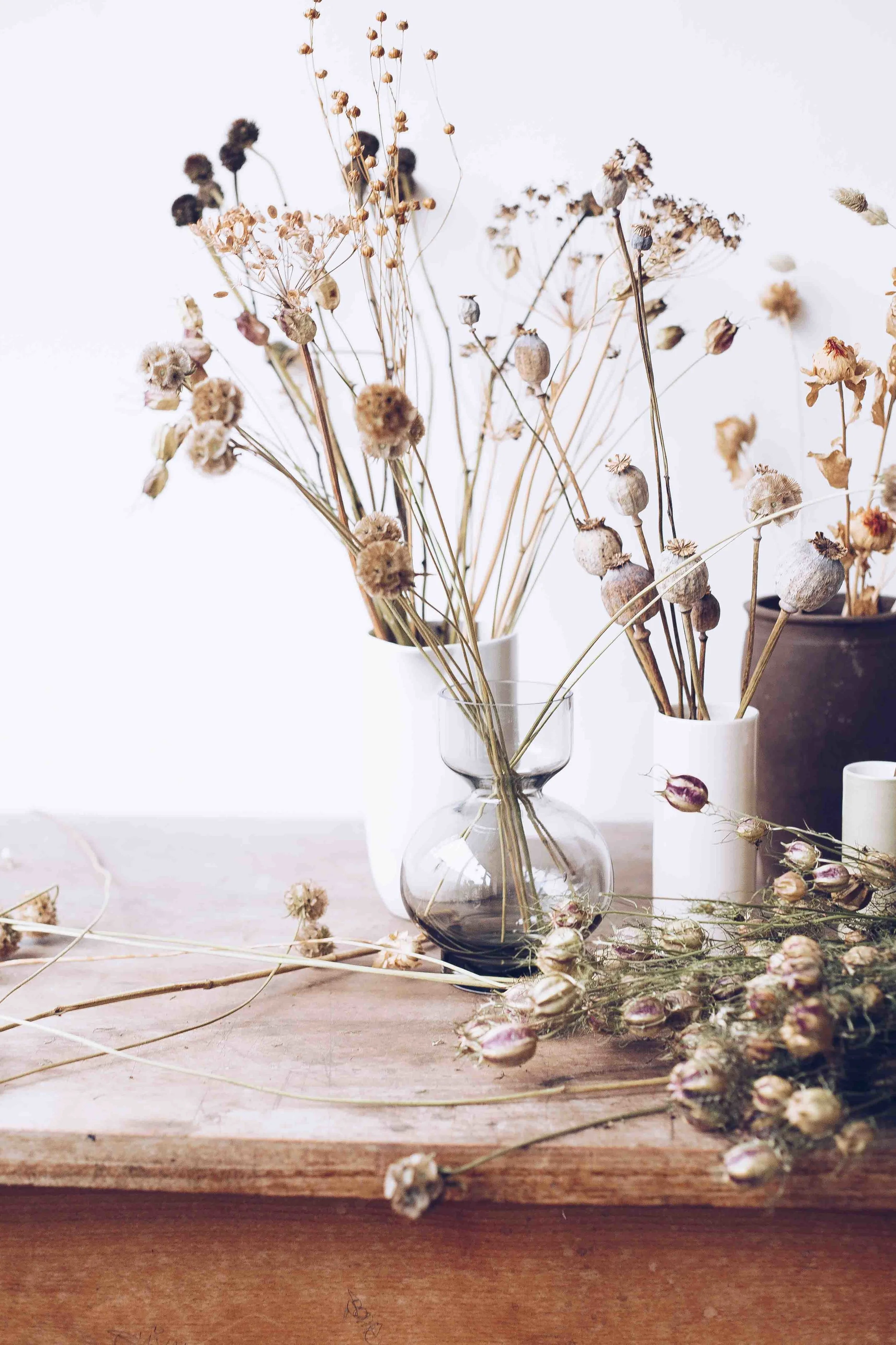 Botany March_Low Res144.jpg