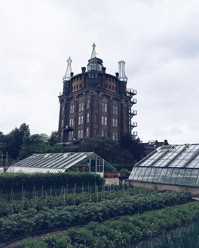 A change of scenery. Cutest water tower hotel + the loveliest vegetable gardens. Our first weekend away for months!! 🌿🐛