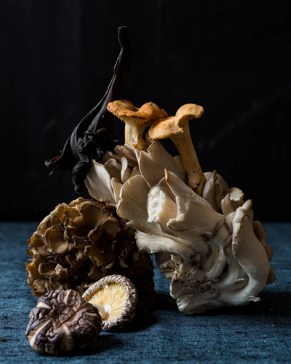 Mushroom-5.jpg