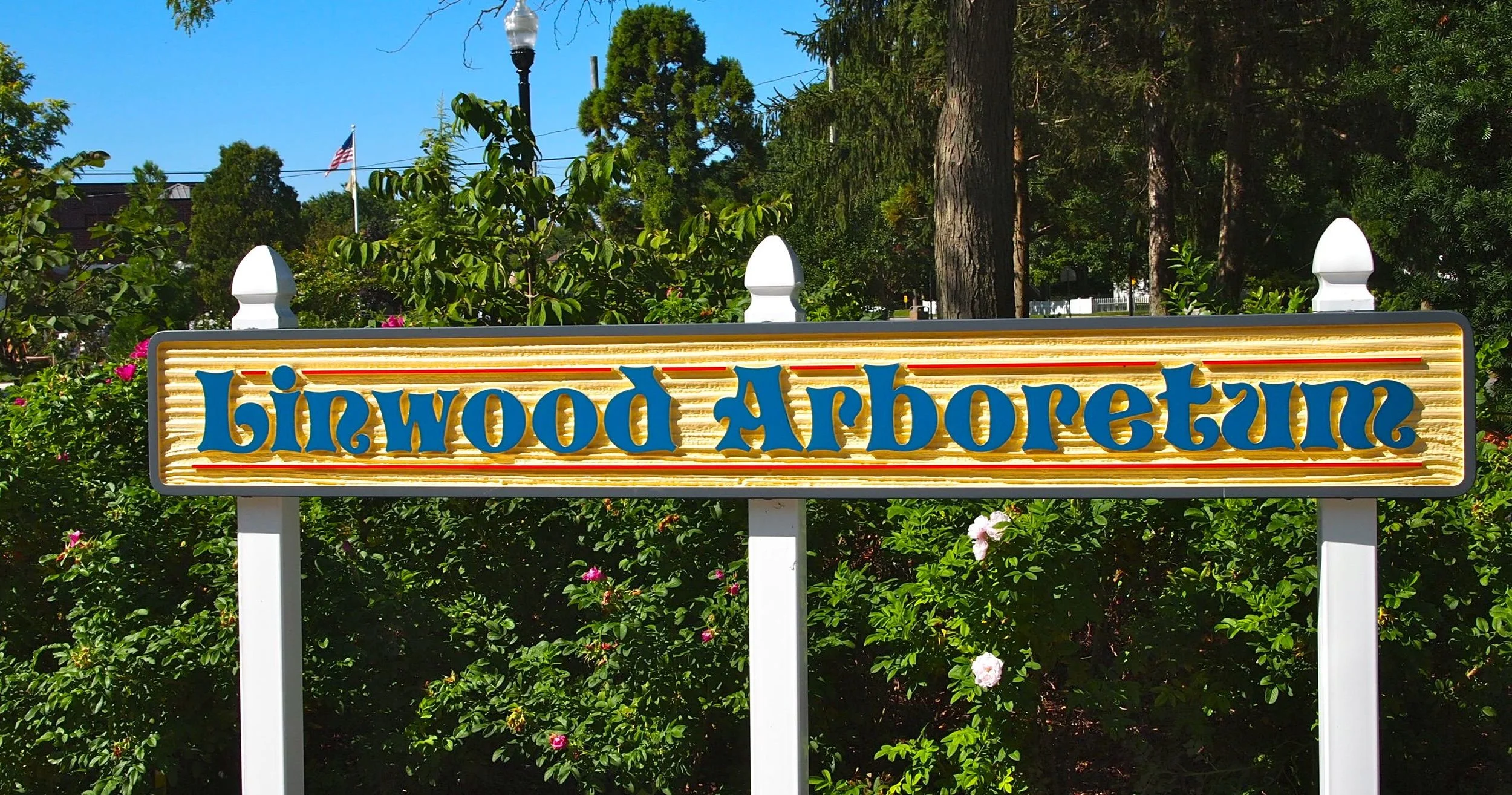 Linwood Arboretum
