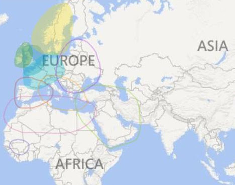Jason's ancestry map. The darker the shading the more ancestry from that region. Outlined regions indicate lower percentages and trace readings.