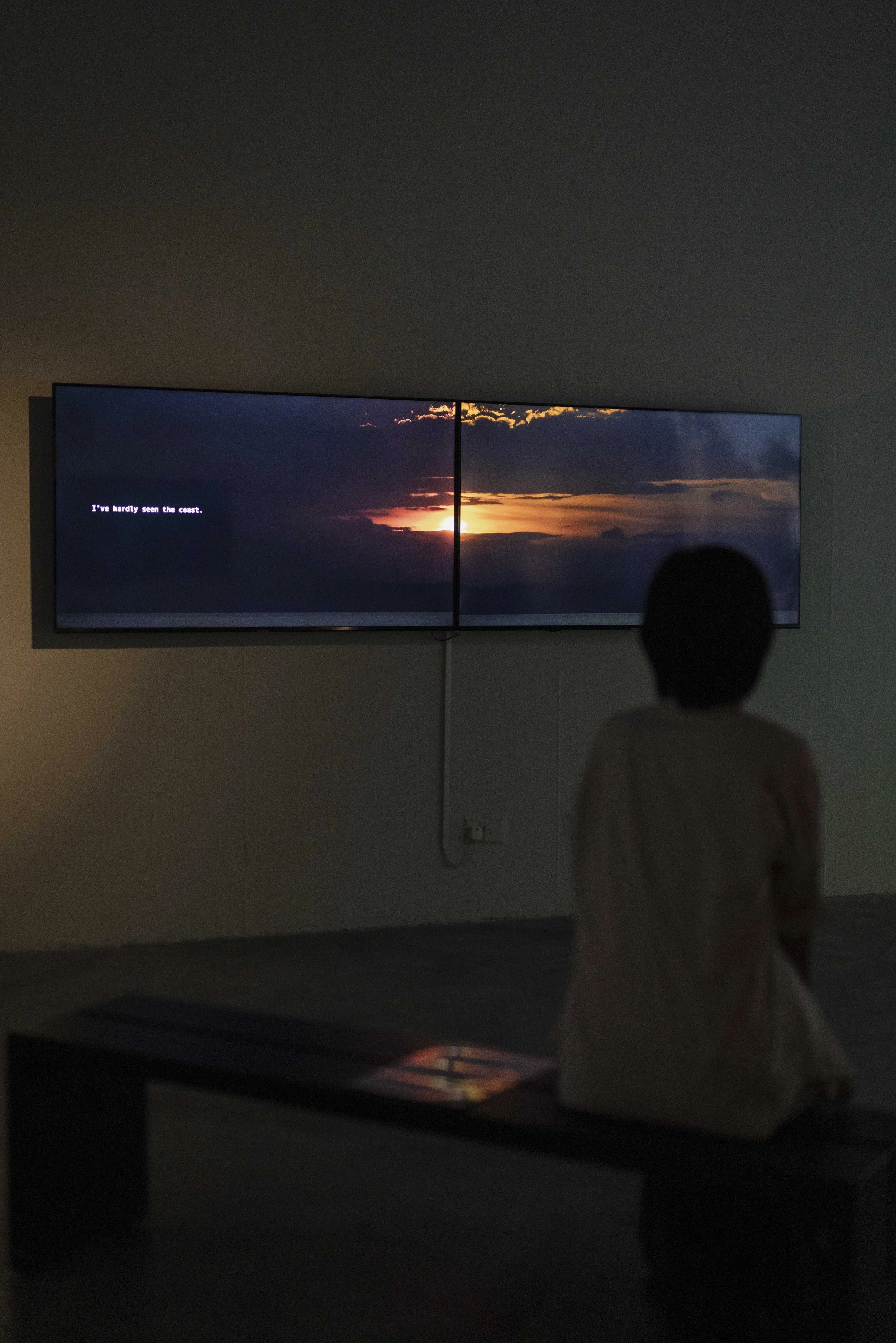 A View From The Coast (2025)