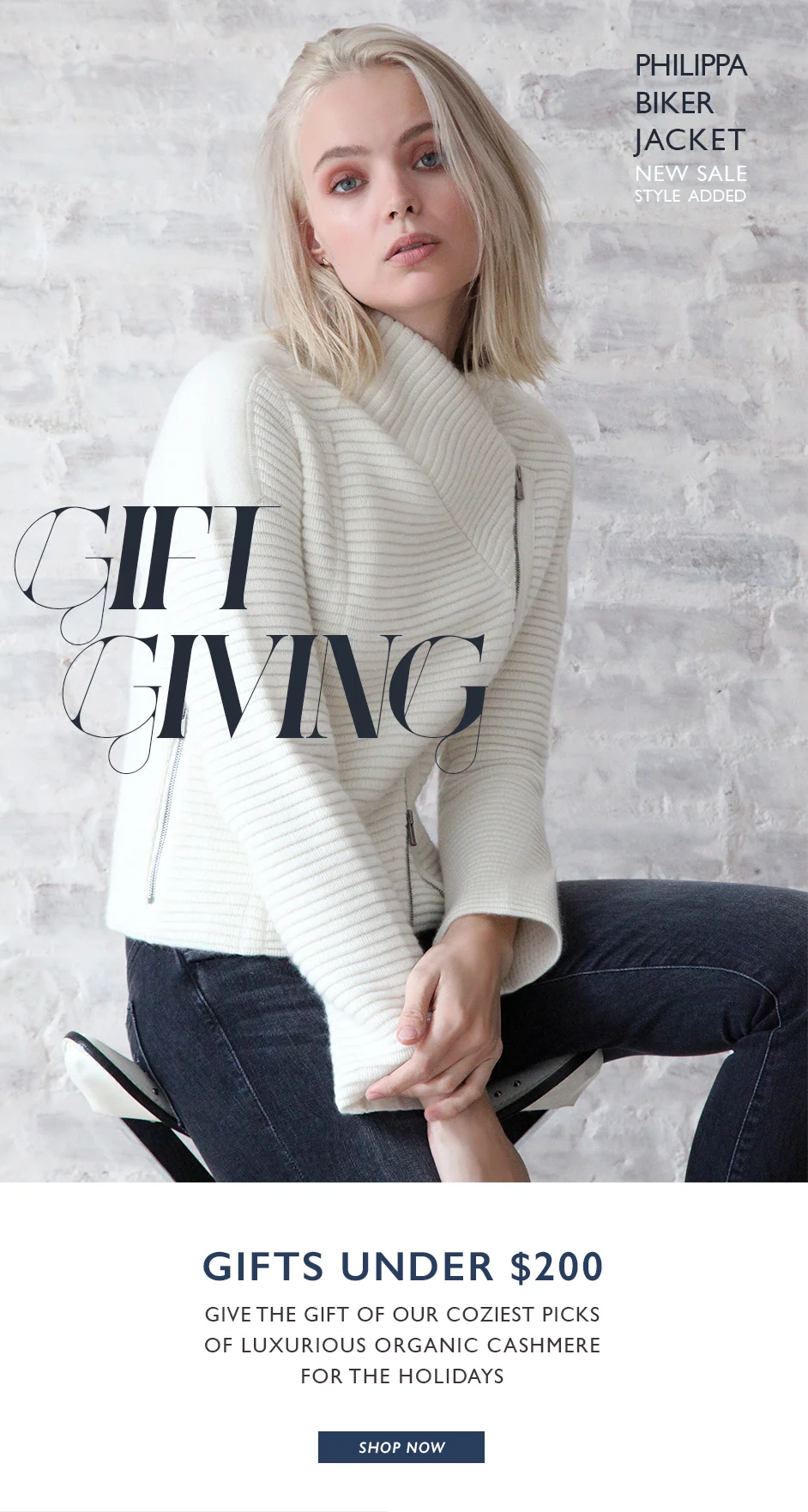 HOLIDAY GIFT GUIDE_1.jpg