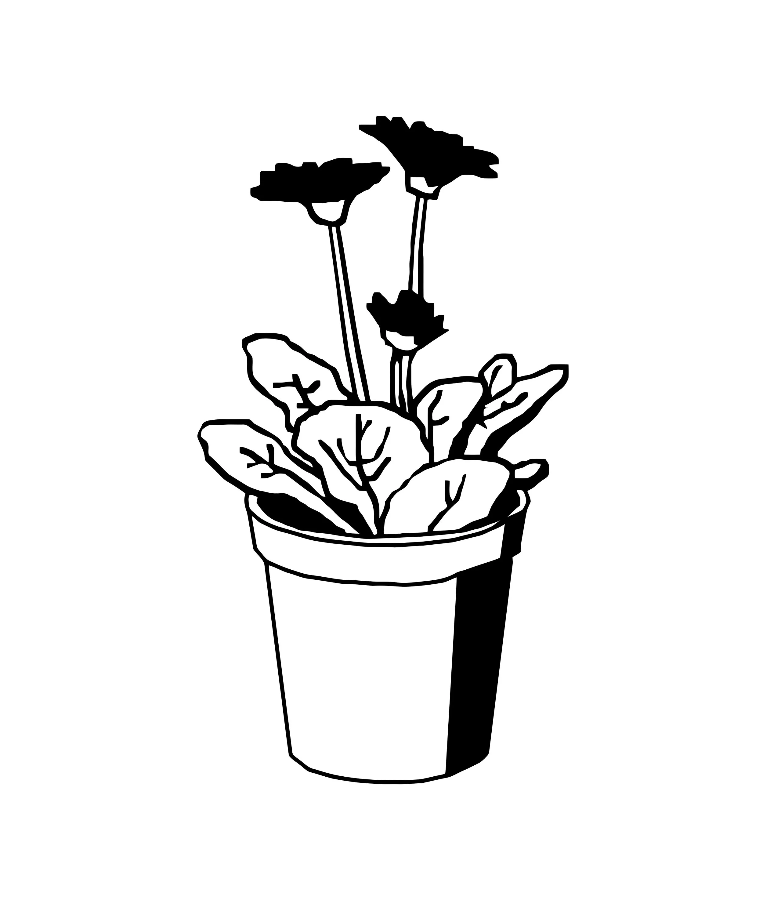 potted_plant.jpg