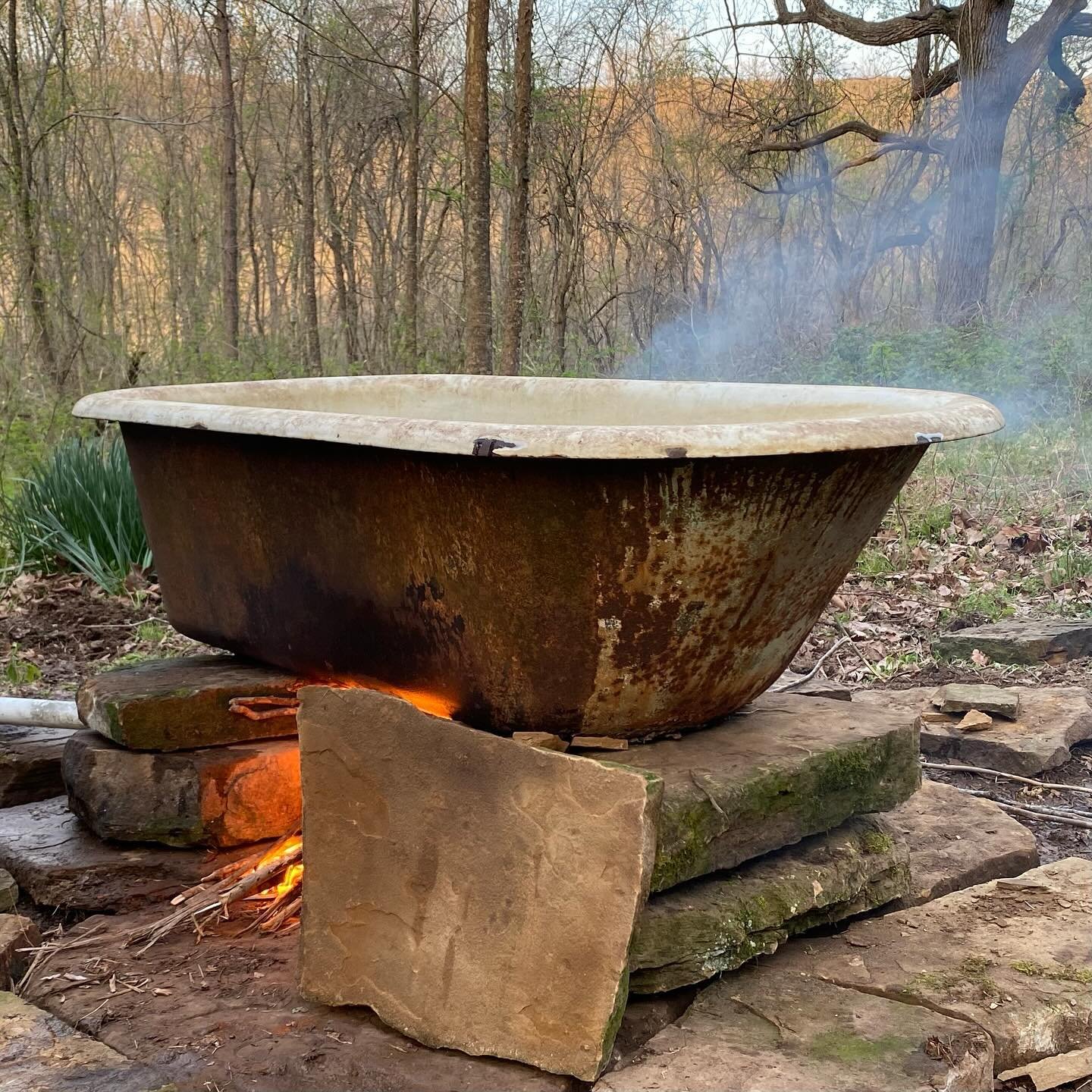 We spent a couple weeks at our cabin in the Arkansas Ozarks on the traditional territories of the Caddo, Osage and Quapaw tribes. We made a wood fired tub and took nightly baths under the stars to the sounds of coyotes, peepers and owls. We dug some 