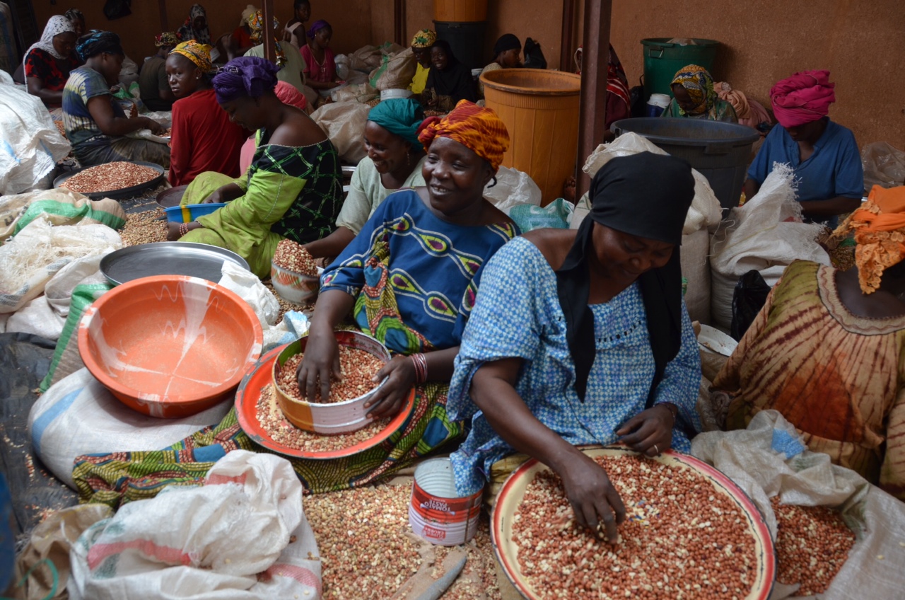 Women sorting peanuts by hand for use in the Plumpy'Nut products. Photo Navyn Salem from the Documama blog.