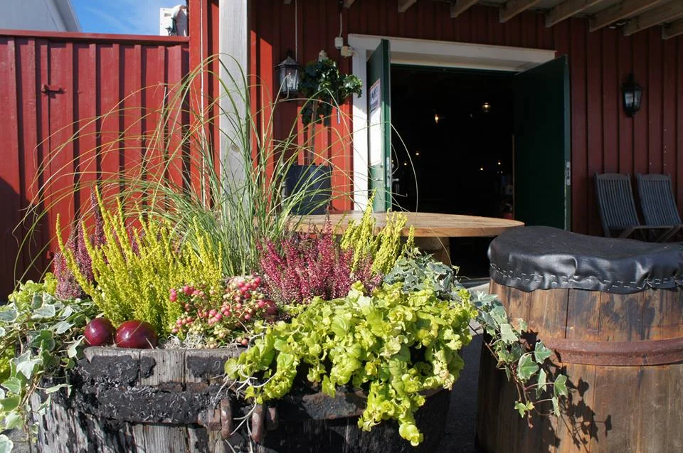 Franses Resturang & Skärgårdspub fick sig en härlig invigningsredo entré hösten 2013 med rödlök, bärljung & tillandsiamossa som huvudingridiens.