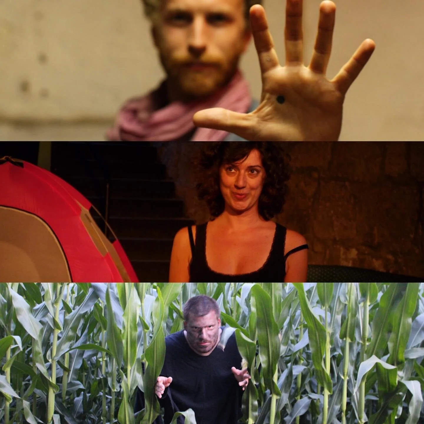 2013-2014 #conferenceofthebirds in #porto #sibiu #cardiff had several iterations experimenting with three modes of theatre #cartesian #intersubjective and #proprioceptive
.
.
.
#sensorylabyrinththeatre #immersive #immersivearts #immersivetheatre