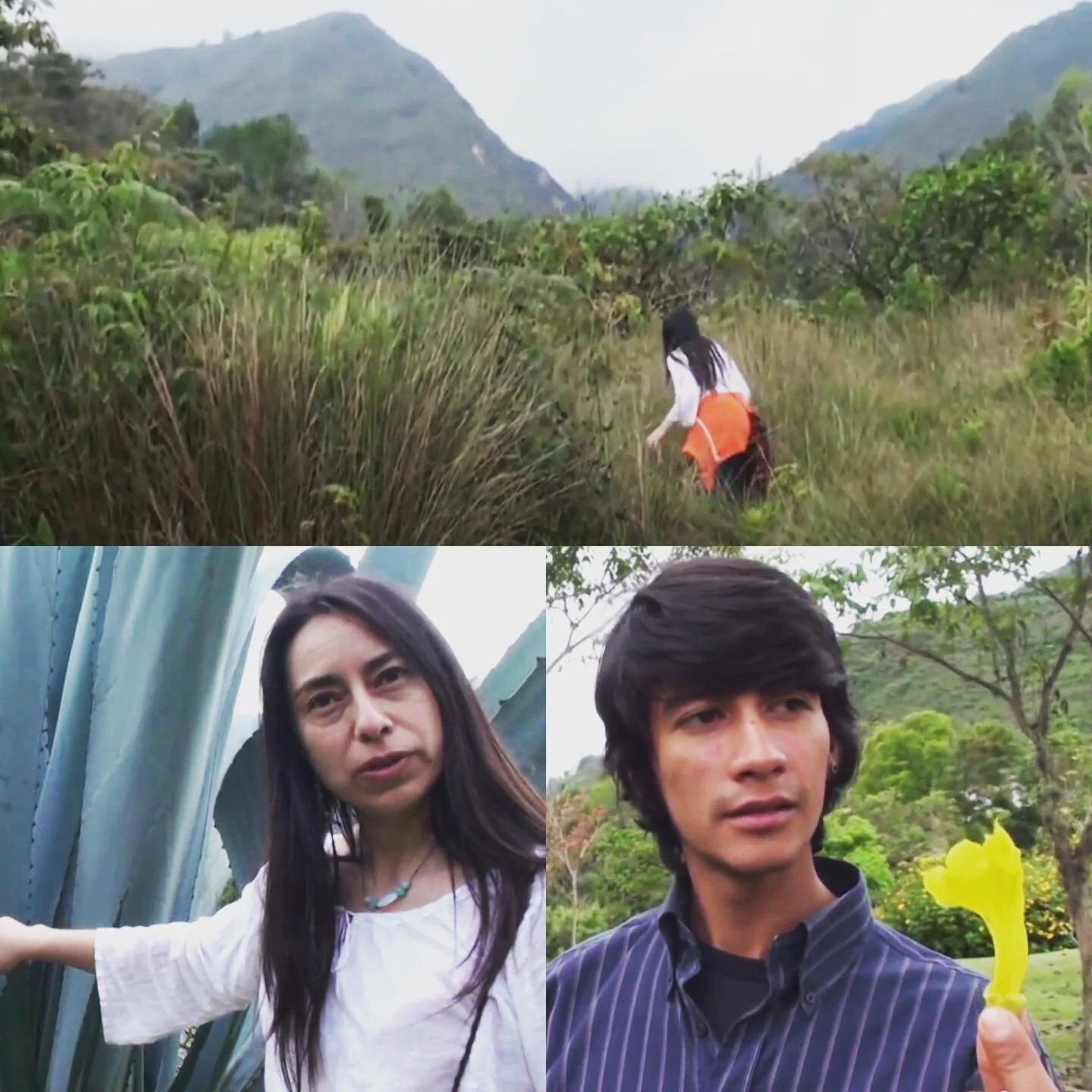 2009 #mérida #venezuela #sensorylabyrinththeatre hosted by #universidaddelosandesvenezuela 
.
.
.

#immersivetheatre #sensorytheatre #sensorylabyrinththeatre #sensory #sensorylabyrinth #immersiveart #theatre #sitespecific #paratheatre