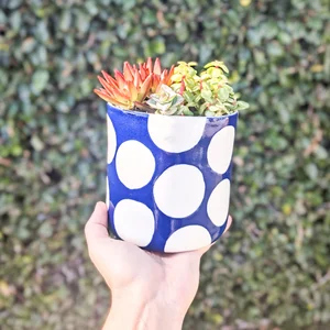 Big Dot Planters - Blue  btw ceramics