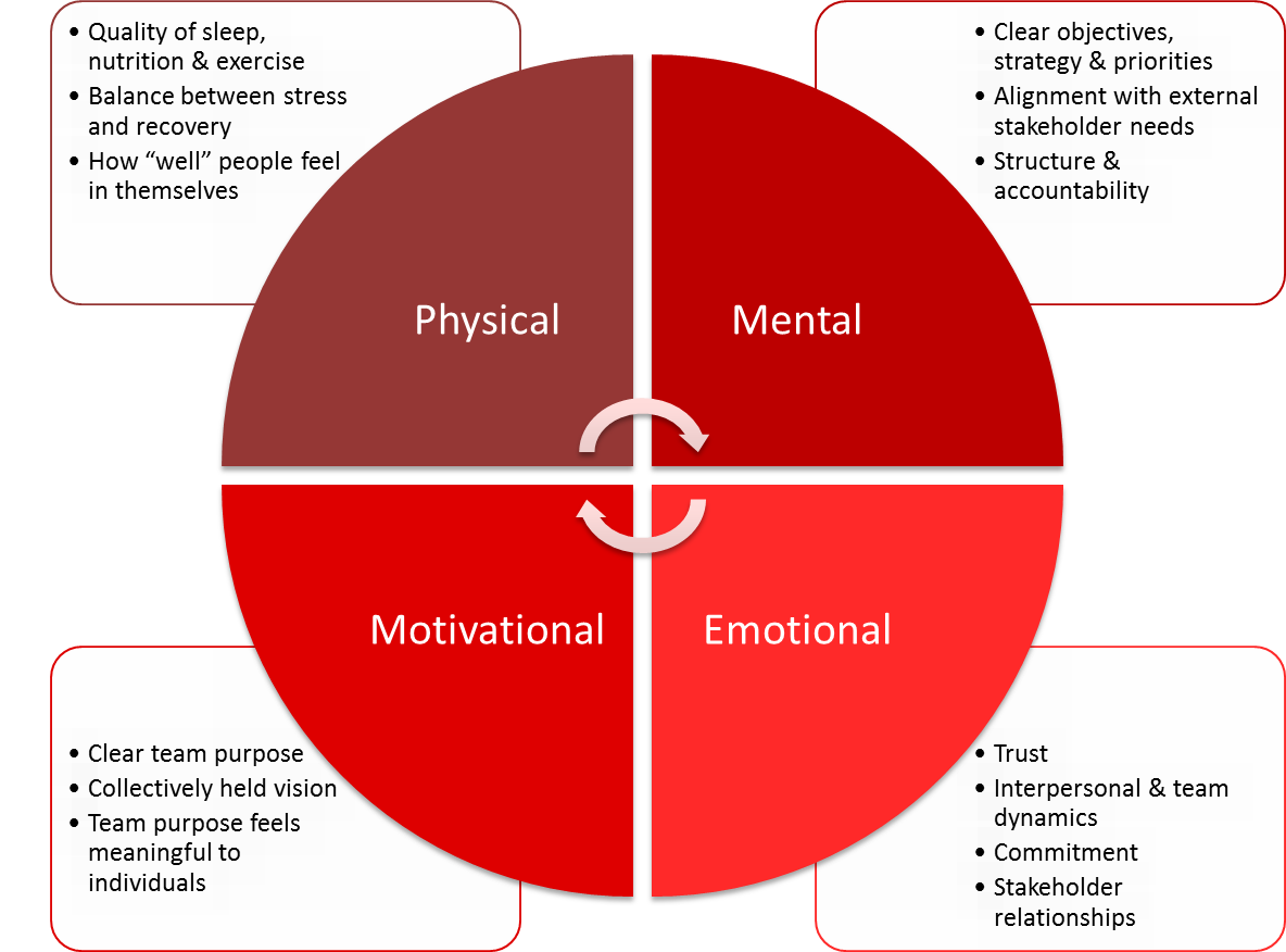 Figure 1: Sources of energy for a team