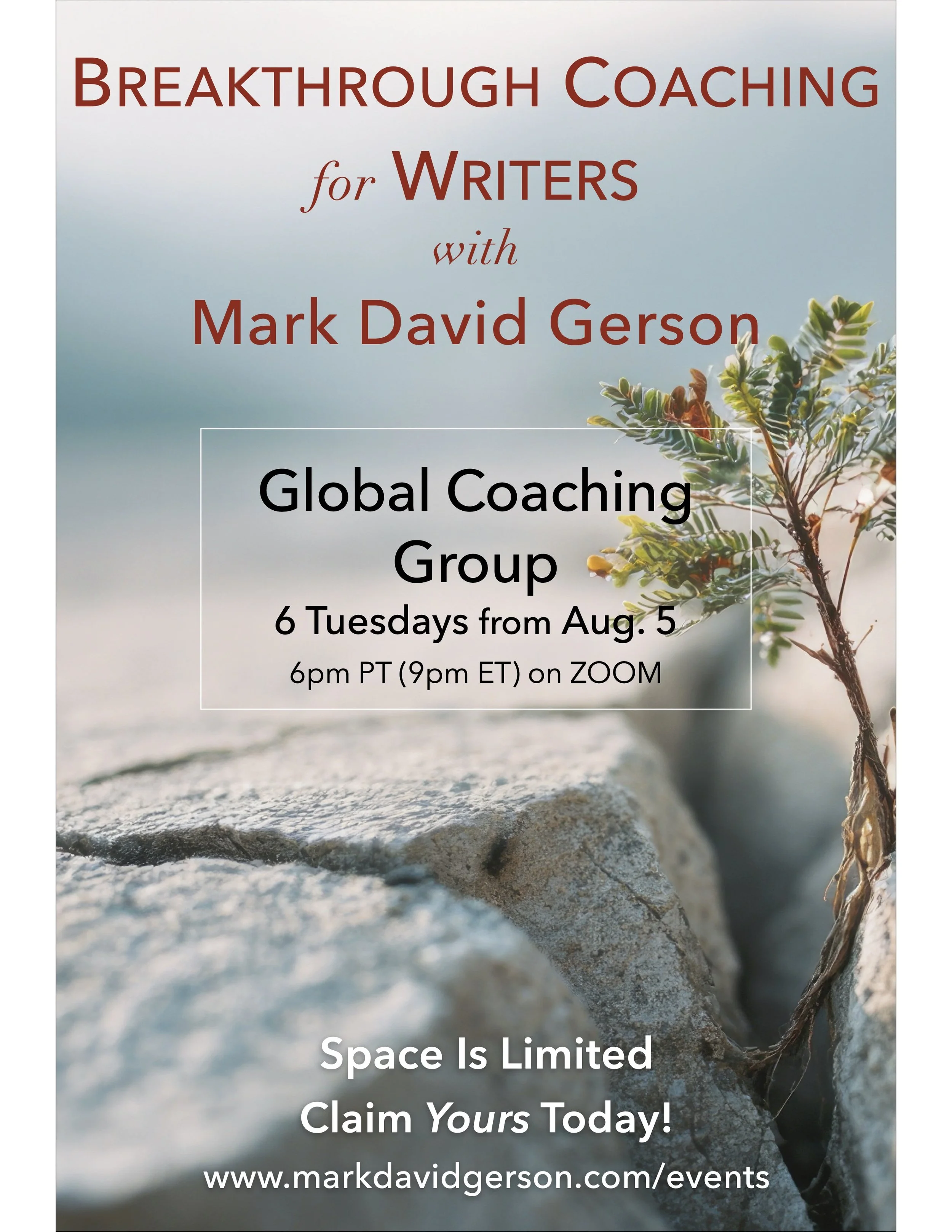 Breakthrough Coaching Group for Writers - Starting Aug. 5