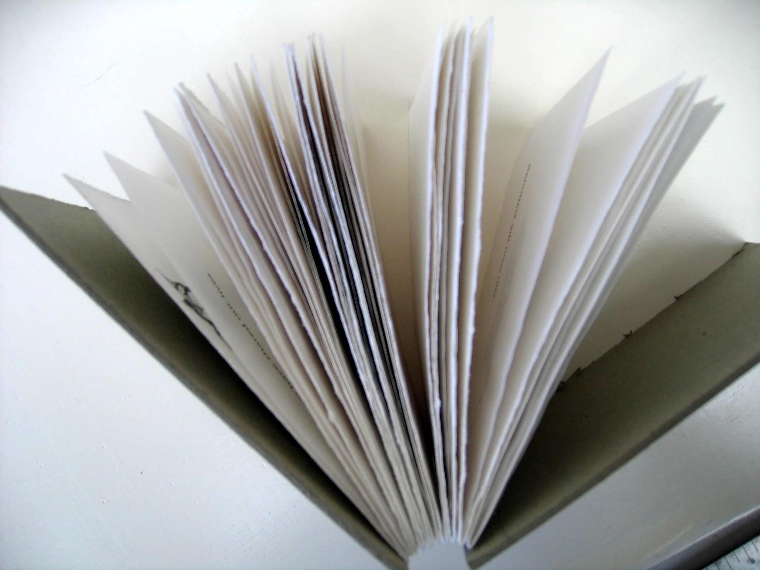 Tulip's For Mary Detail