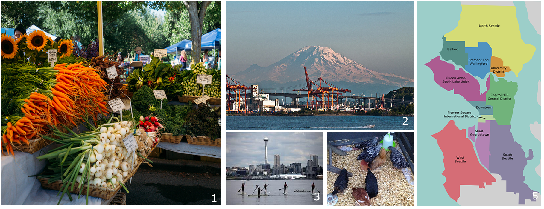 1. Farmers Markets (see bullet point #5) 2. View of Mount Rainier from the south end of Elliott Bay (see bullet point #1) 3. Paddleboarding out in the Sound (see bullet point #3) 4. Deb and George's own little chicken coop in their backyard (see bullet point #8) 5. Different neighborhoods that all make up Seattle- each with it's own unique vibe (see bullet point #2)