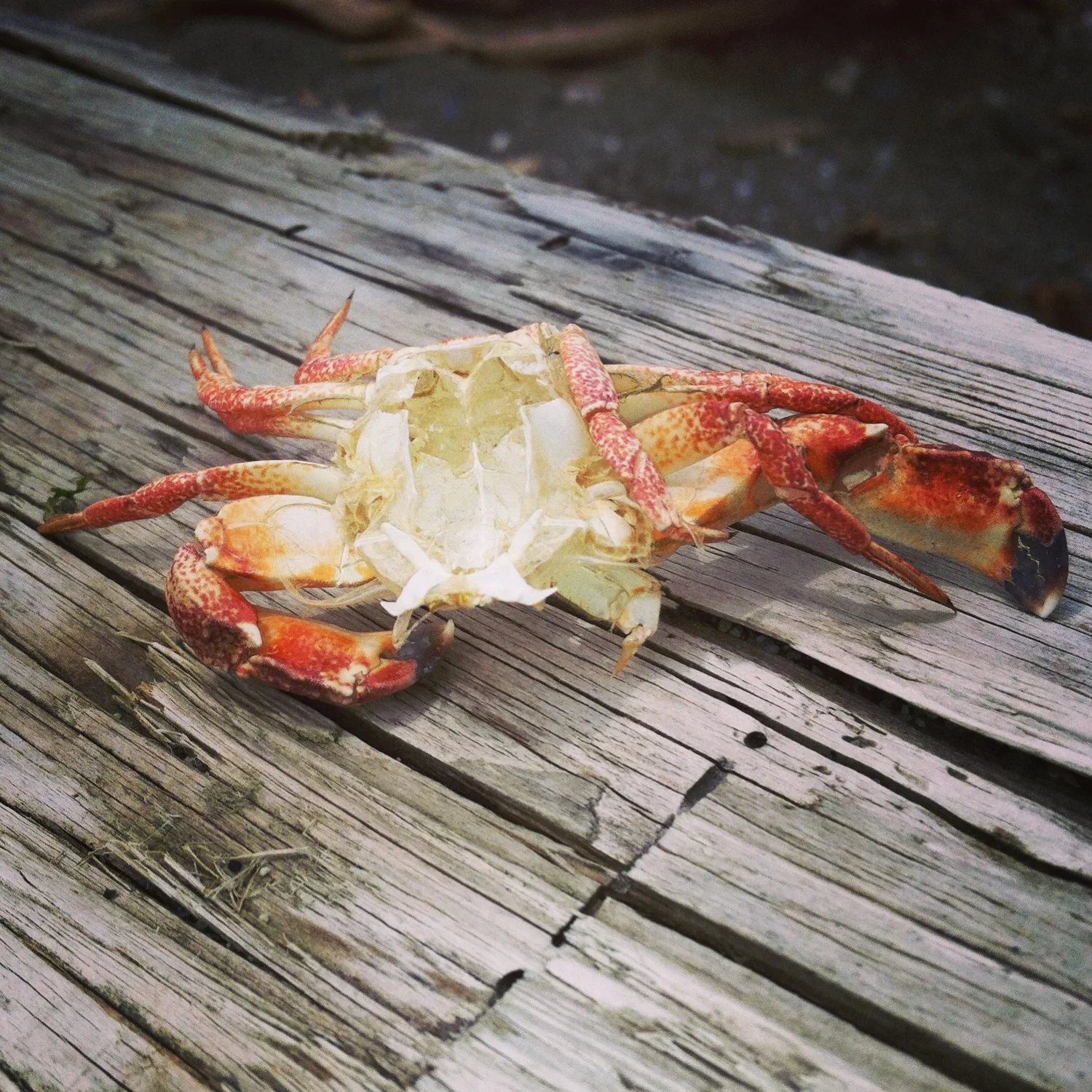 Initial Impressions of Seattle