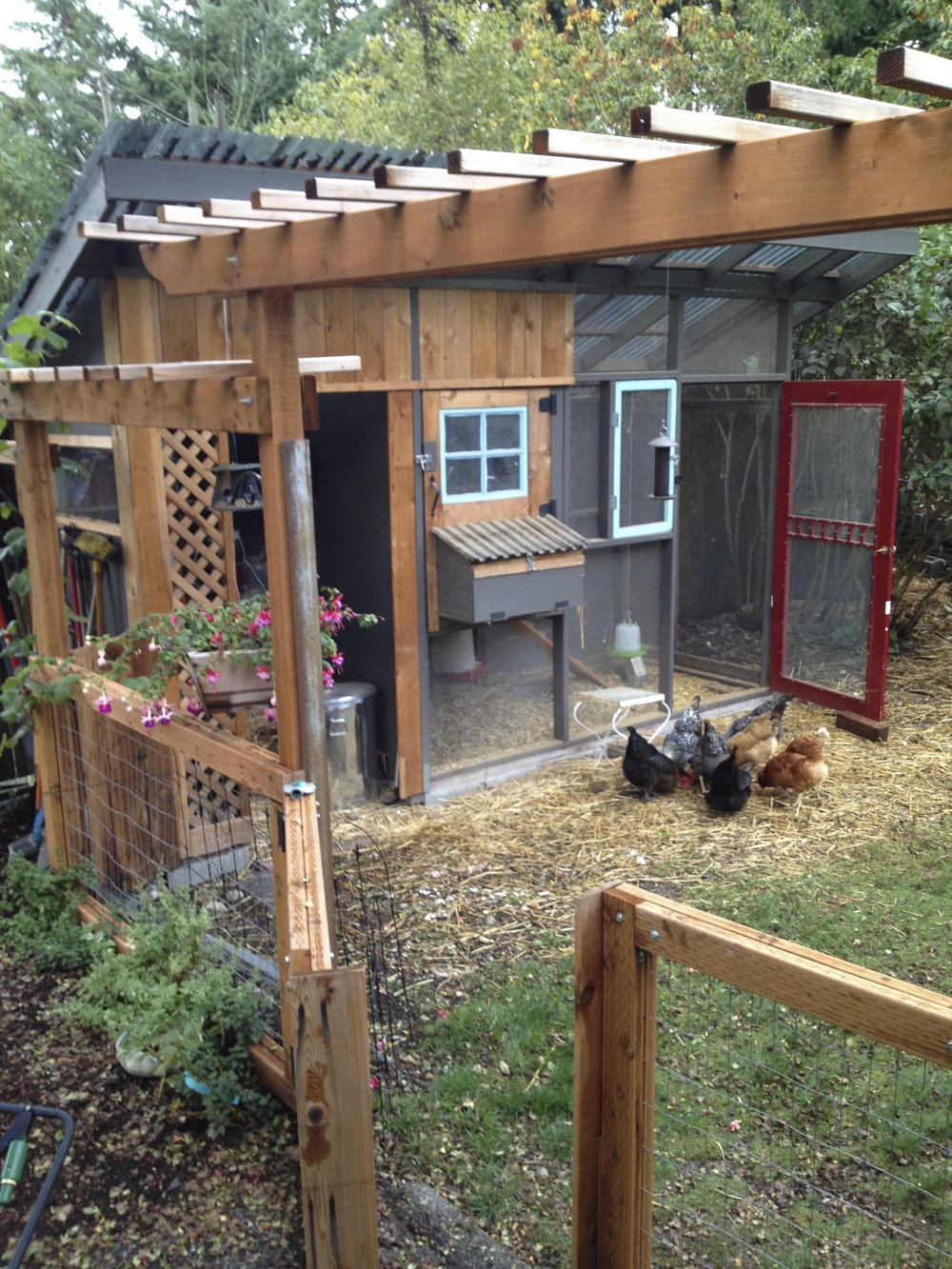 Zoo-XXL Chicken House Chicken Coop Chicken Aviary Liese