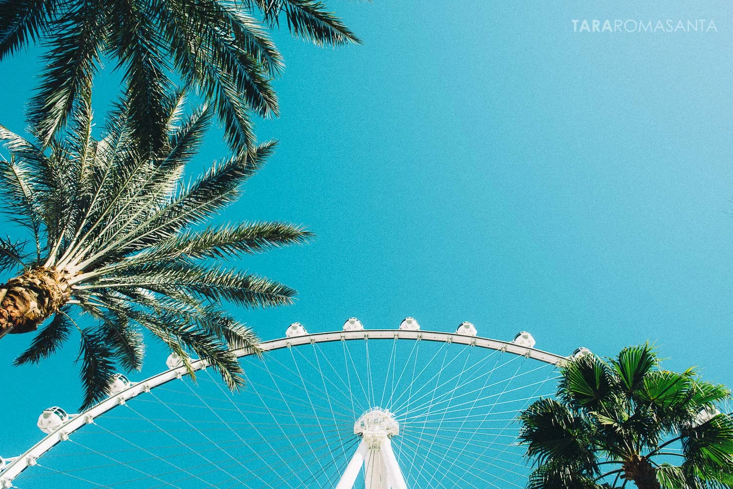 friday i'm in love: the vegas edition