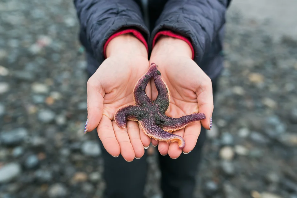 Homer Alaska story featured on Steller