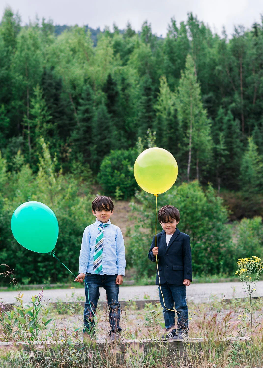 family lifestyle portrait session of brothers in eagle river