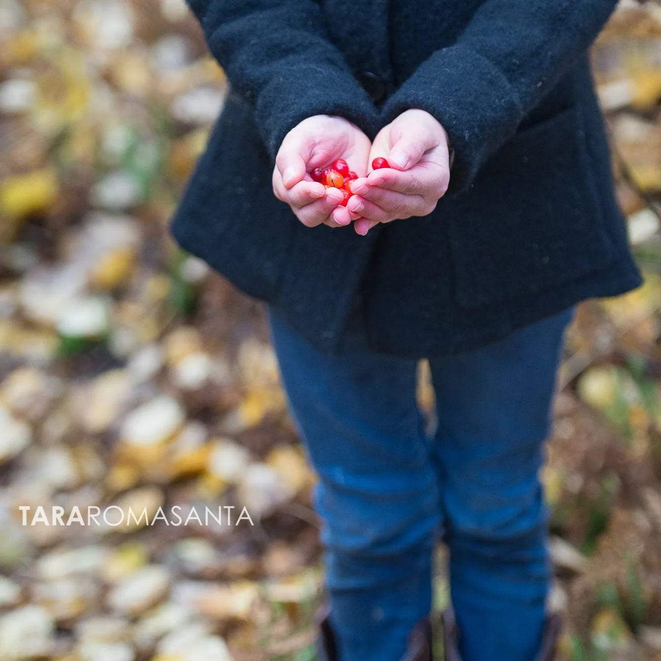 adorable lifestyle family session in chugiak