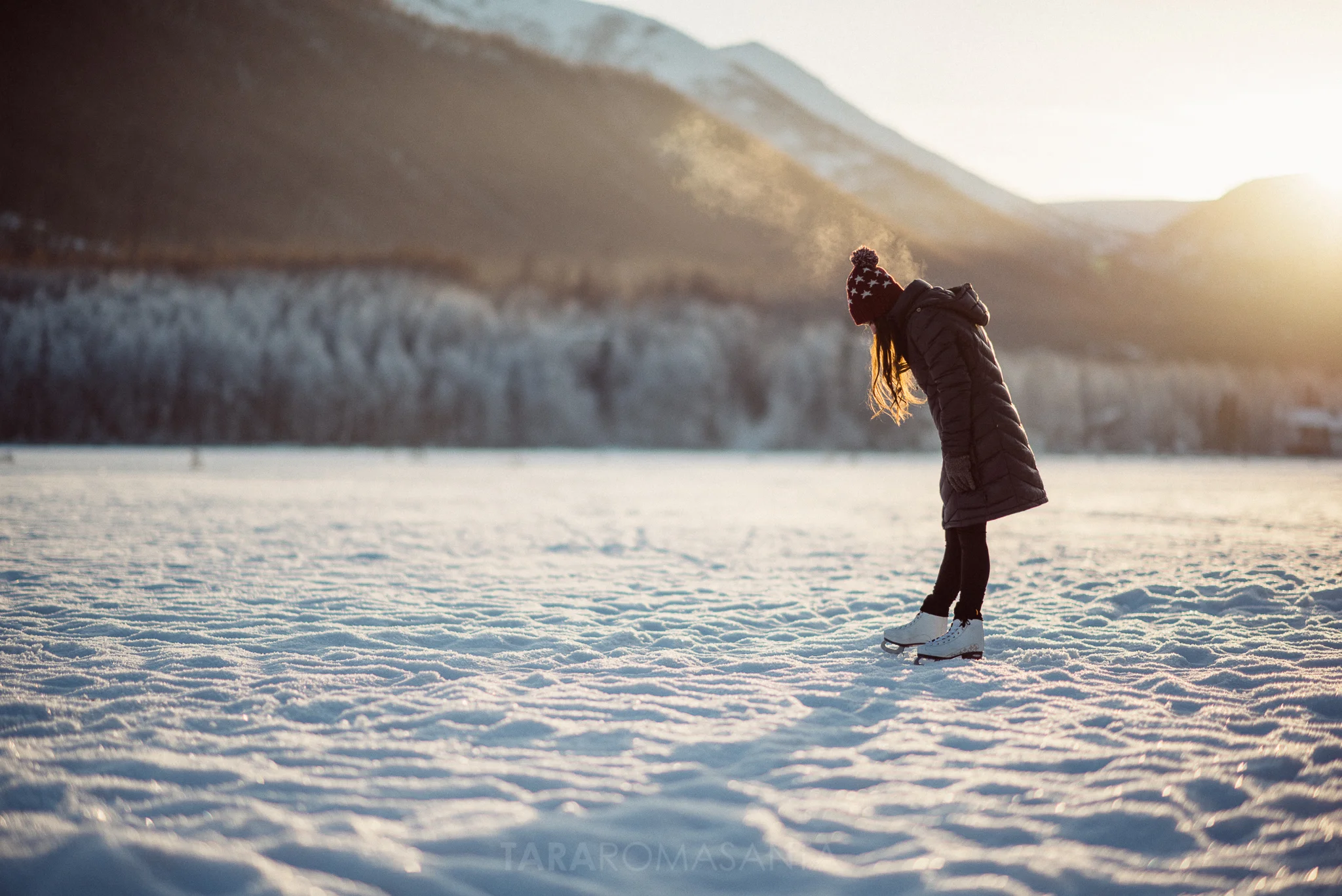 top 15 photos of 2015