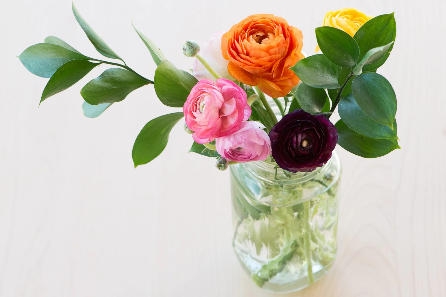 floral interludes: seven on seven