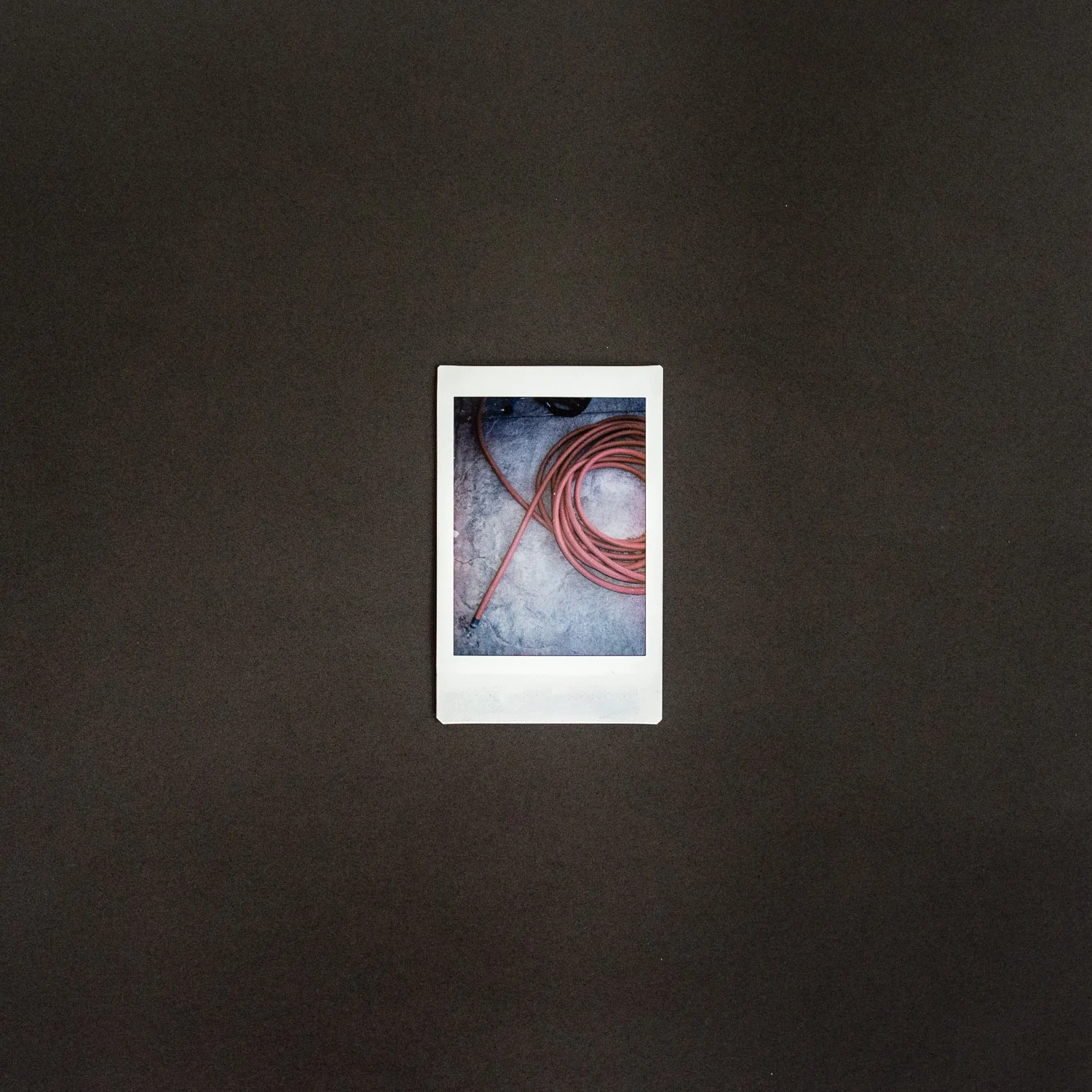 7 of 100 days of instax mini photos