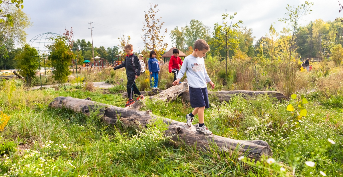 Creating Nature Play Area on a Tight Budget —