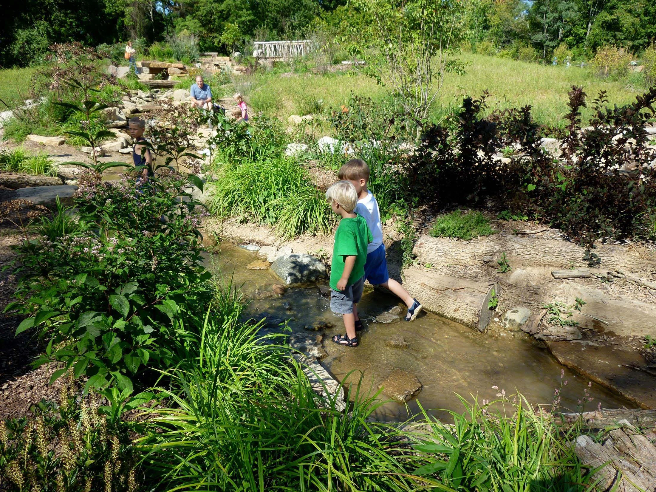 As the creek meanders through the Nature PlayScape, rocks and logs provide places for native plants to take hold and for children to perch, splash, explore. Rubber liners, piping, and concrete slabs are well hidden underneath.