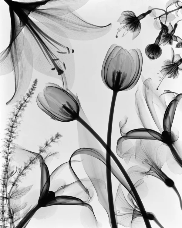 © Don Dudenbostel