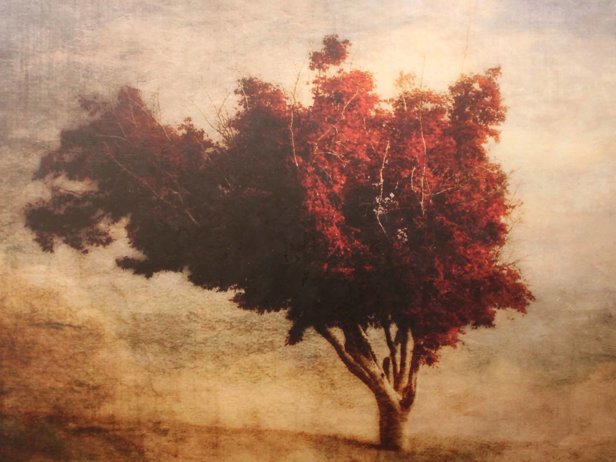 Tree of Wisdom