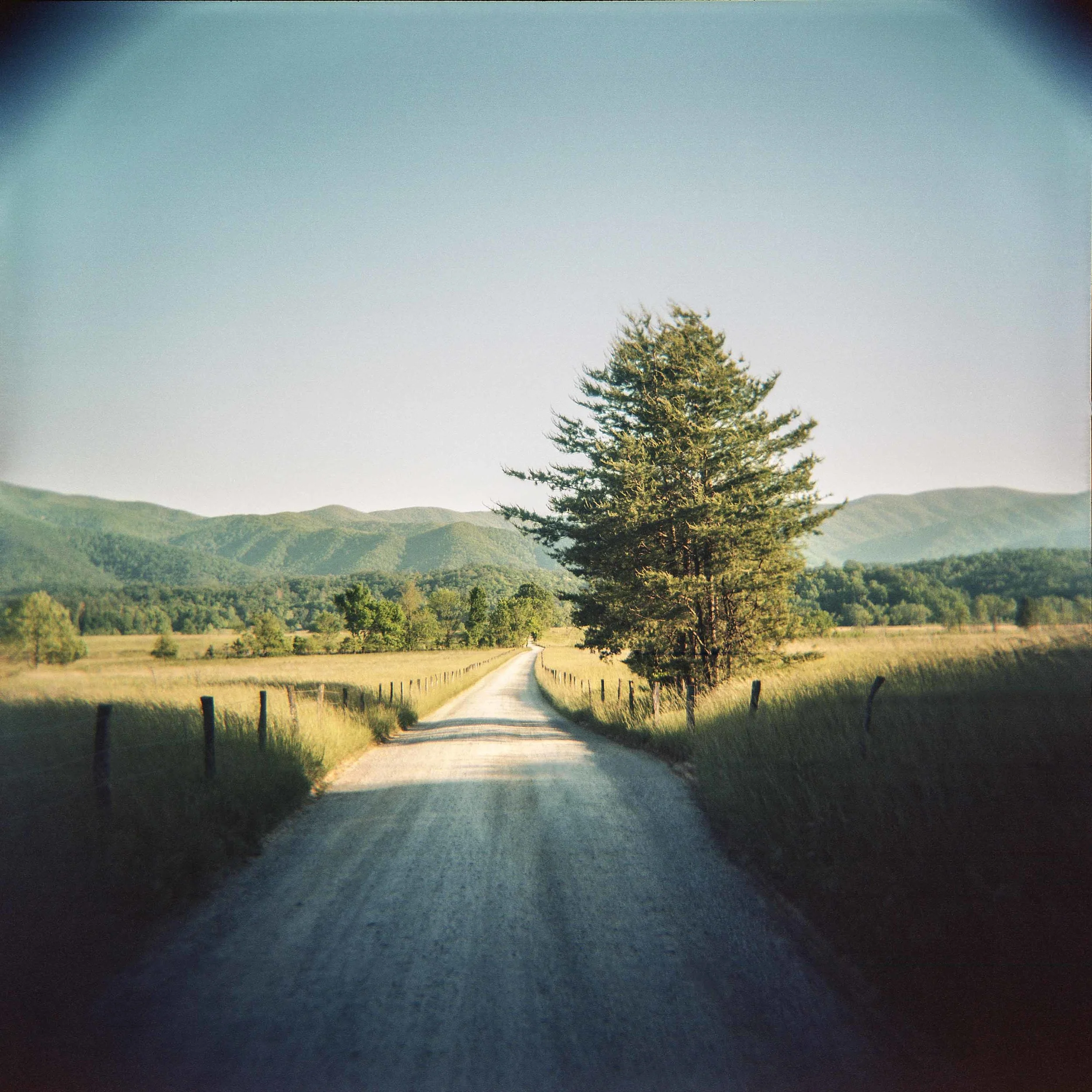 "Blount Co, Cades Cove Cutover, Hyatt Lane" ©Jerry Park