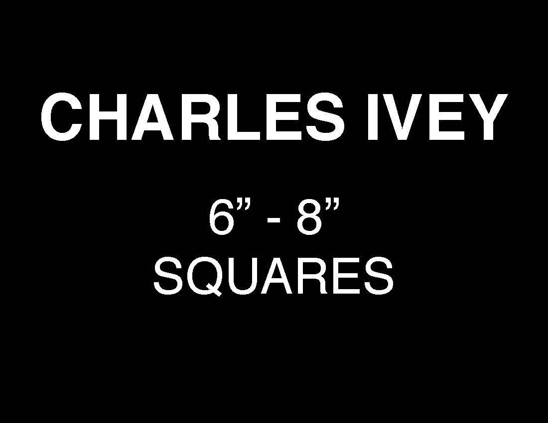 Website divider 6 in to 8 in squares.jpg