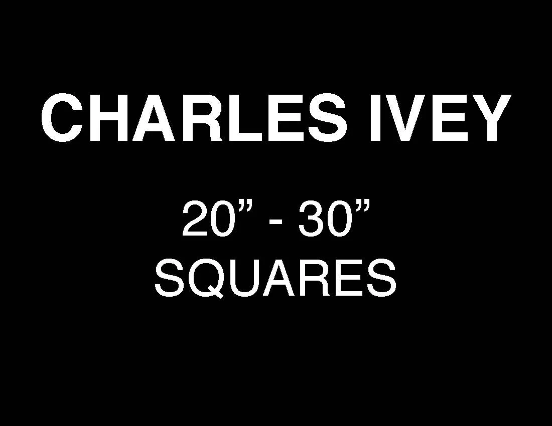 Website divider 20 in to 30 in squares.jpg