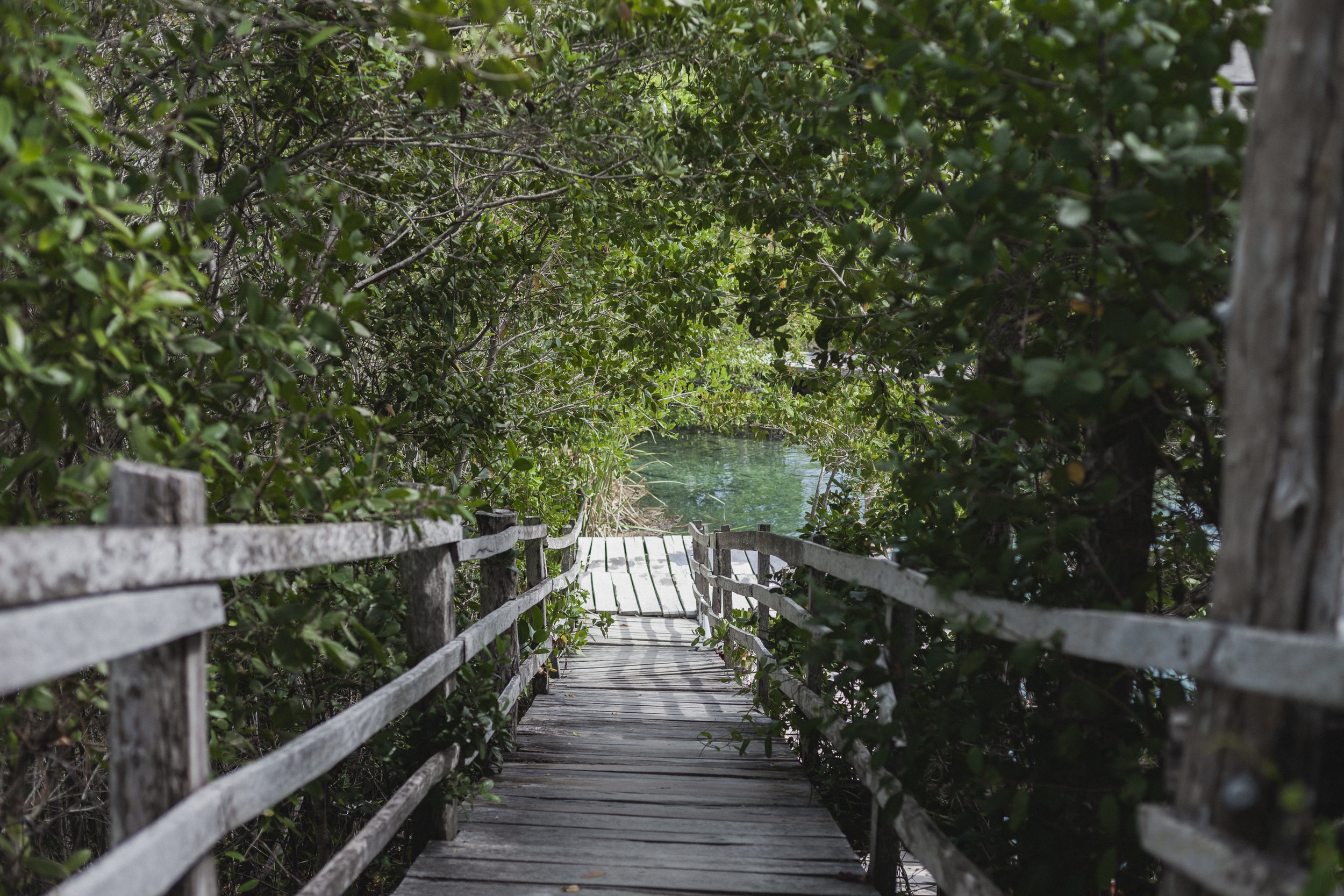 holbox-14.jpg