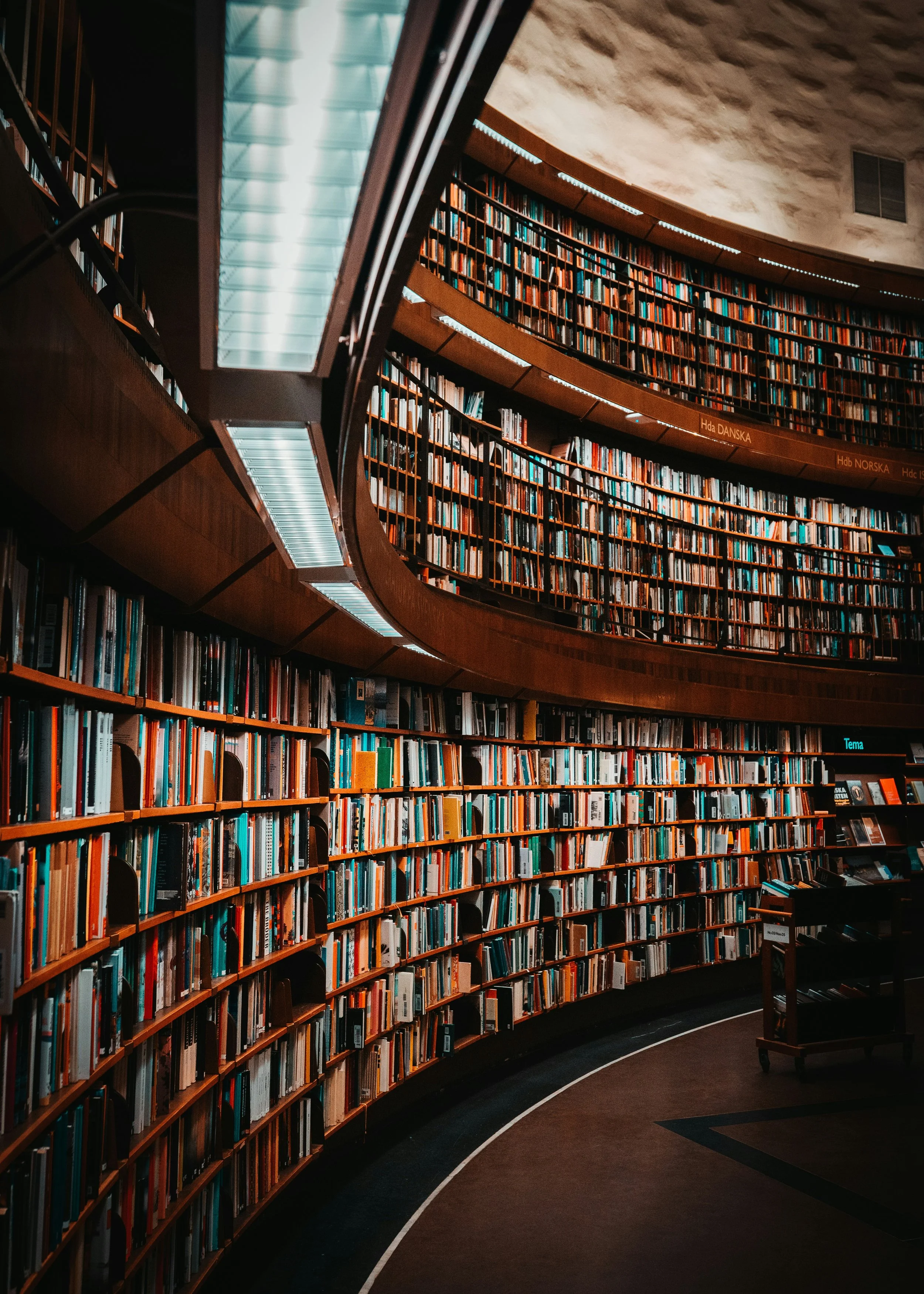 Curbing Ignorance By Embracing Yours 