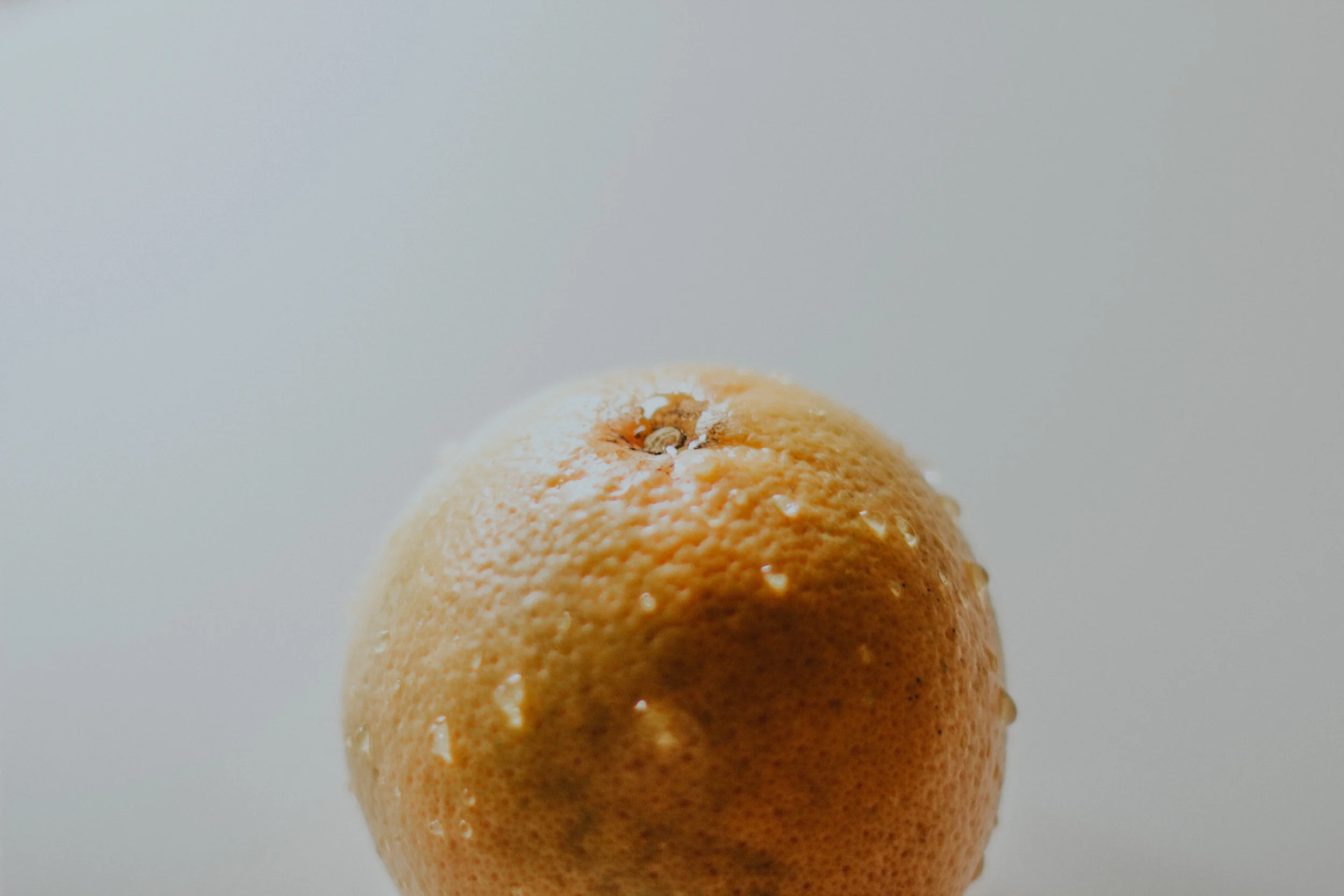 Food-5.jpg