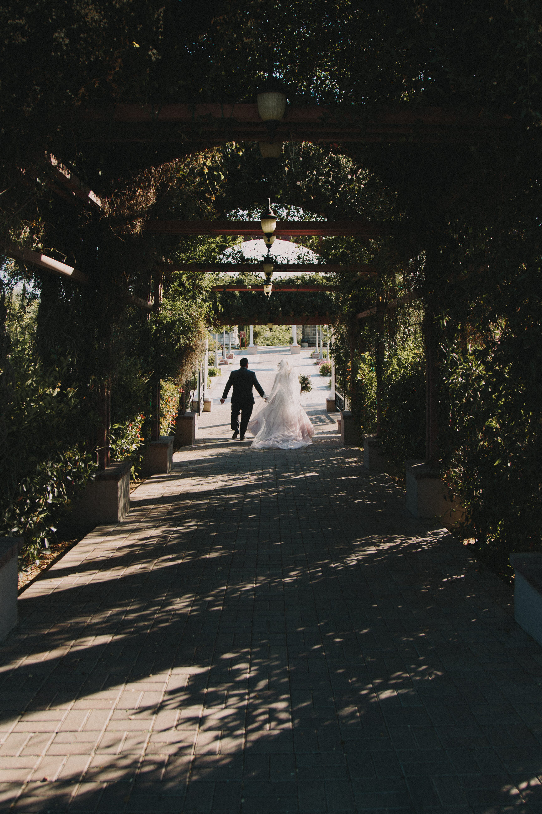 Stephanie + Charles - Mount Palomar Winery Wedding-20.jpg