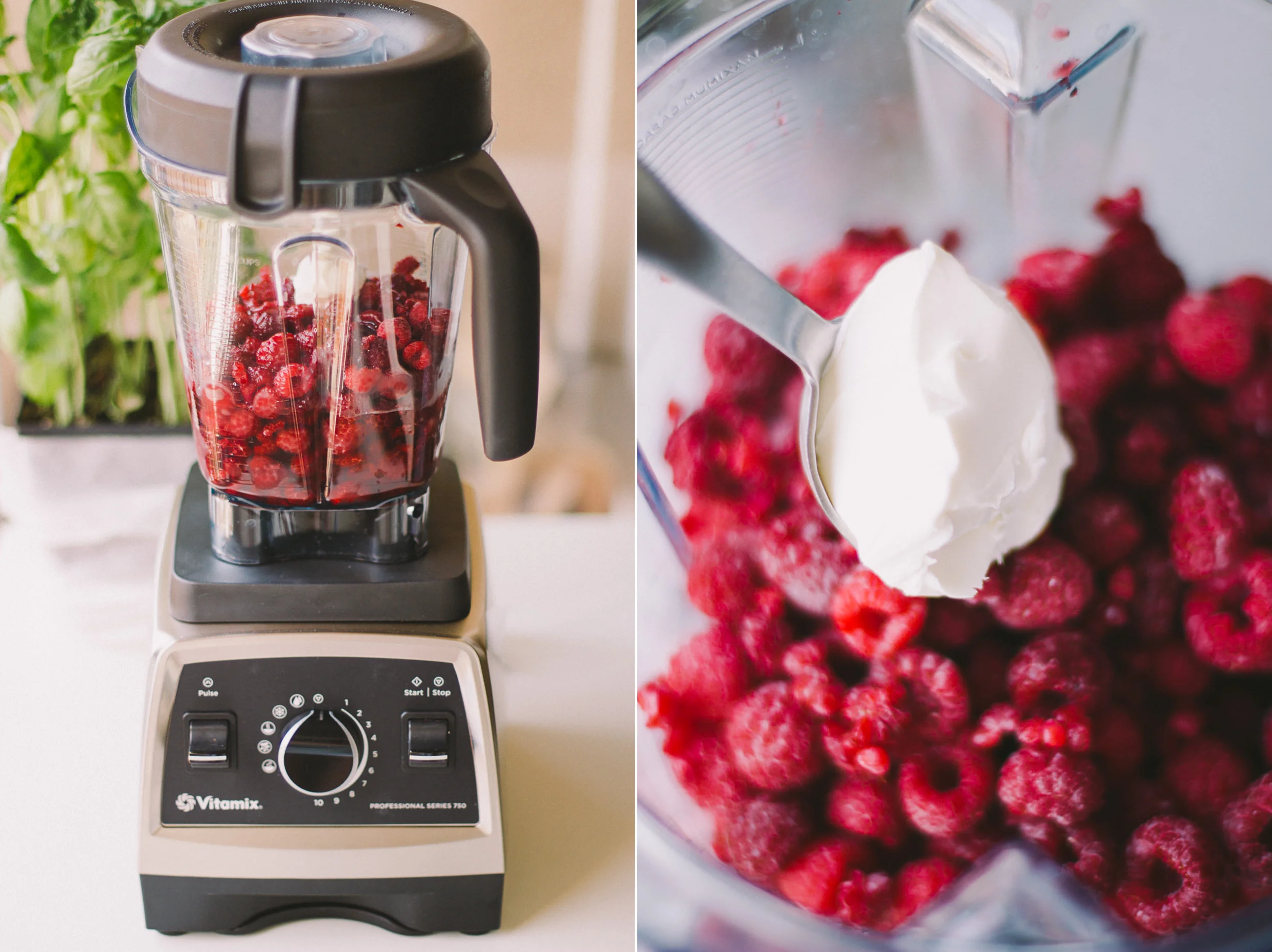 Raspberry + Basil Pops.diptych.4.jpg