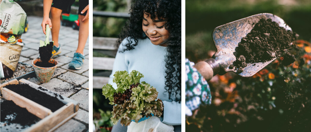 1. A gardener using a trowel to fill a pot with fresh soil. 2. A medium-dark skinned woman with beautiful long curly black hair holding a bundle of freshly grown lettuce. 3. A close up of a trowel scooping soil into a flower bed.